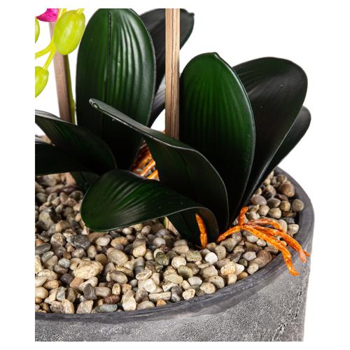  SAKSILI PEMBE ORKİDE 27X70CM