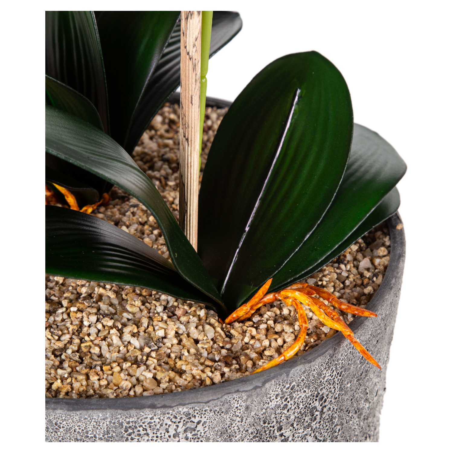 SAKSILI TURUNCU ORKİDE 27X70CM