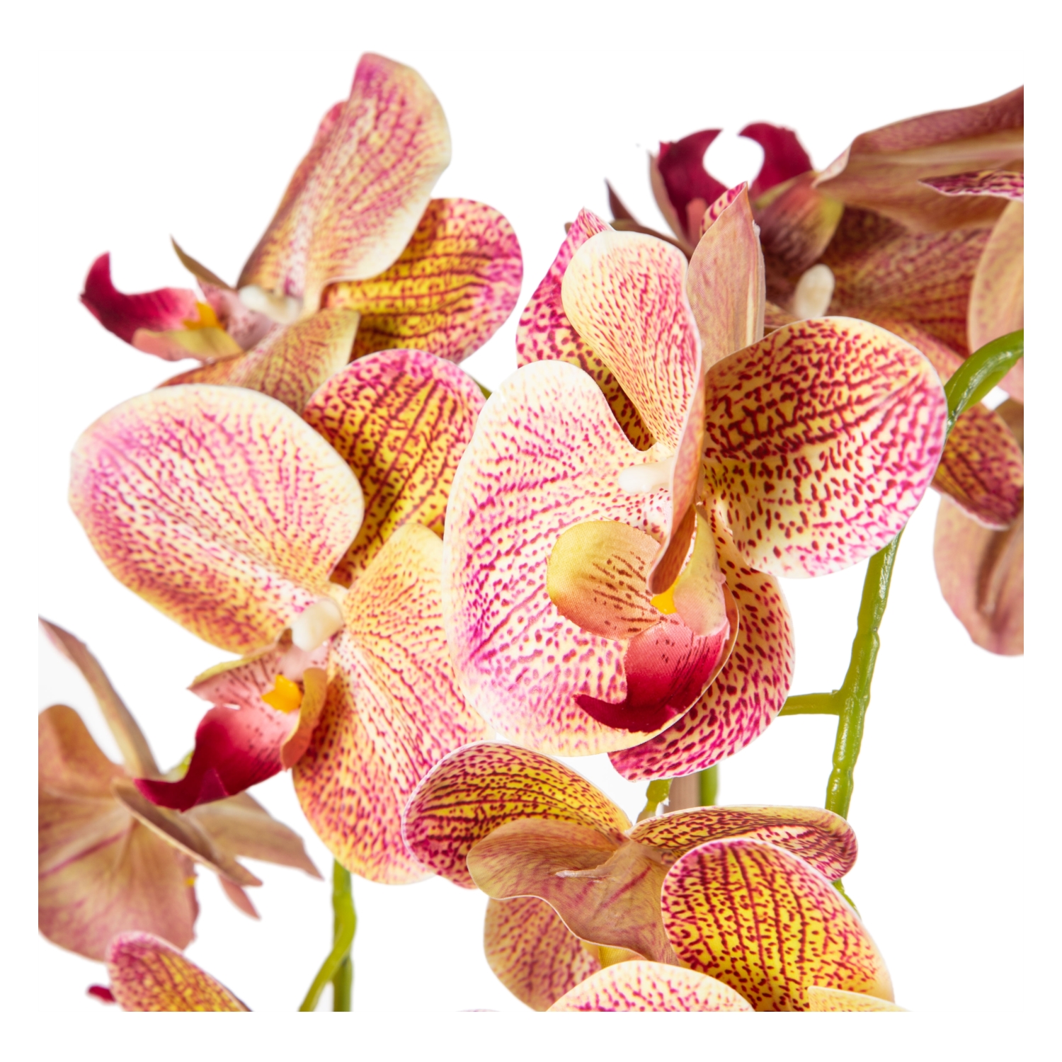 SAKSILI TURUNCU ORKİDE 27X70CM