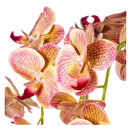  SAKSILI TURUNCU ORKİDE 27X70CM