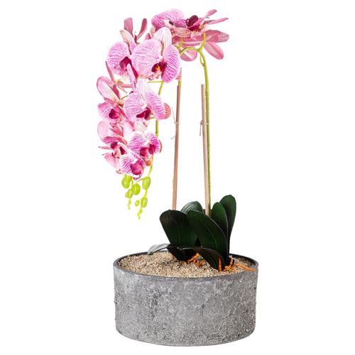  SAKSILI MOR ORKİDE 27X70CM