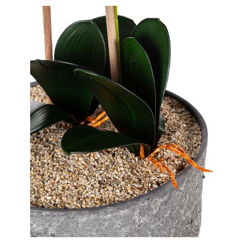  SAKSILI MOR ORKİDE 27X70CM