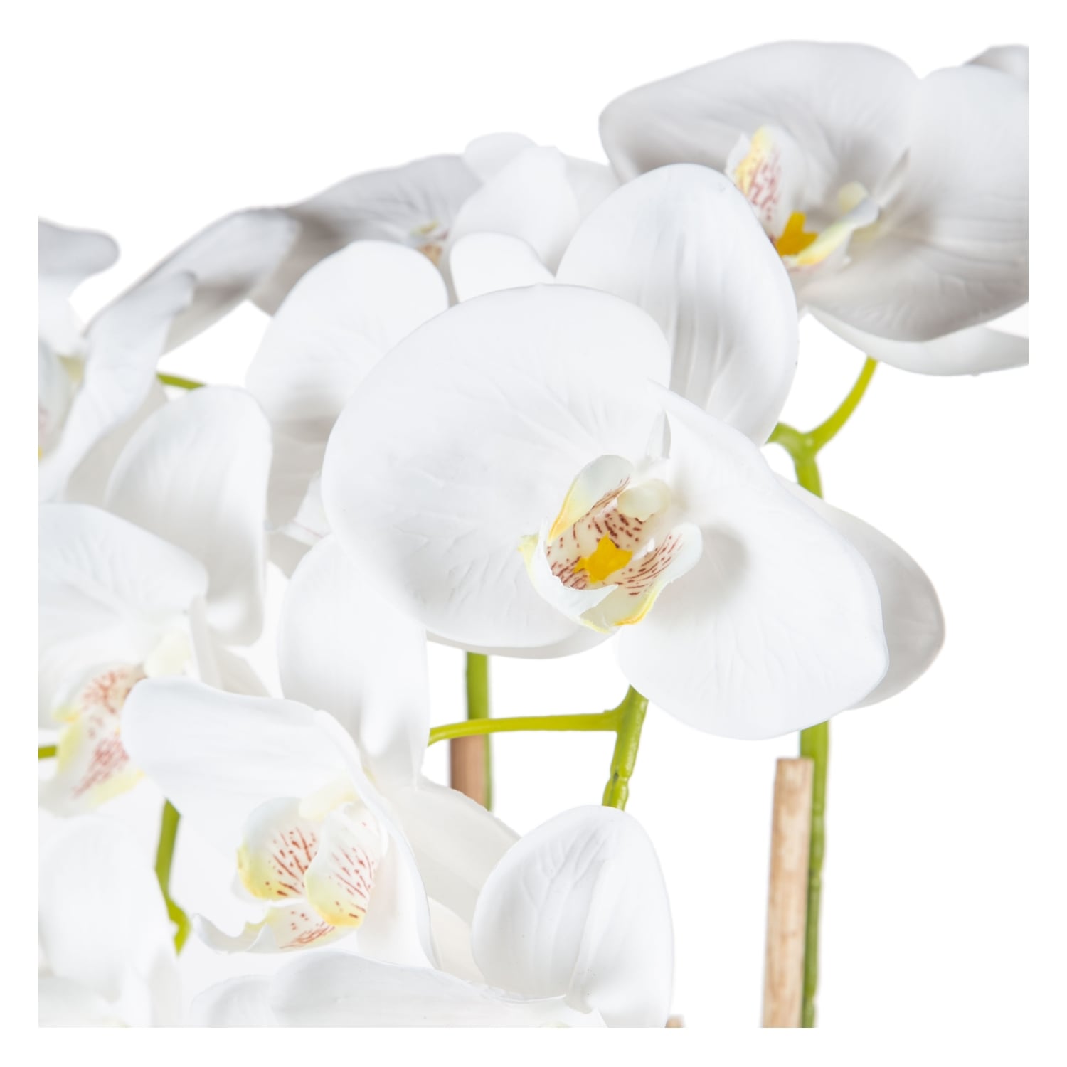 SAKSILI BEYAZ ORKİDE 27X70CM