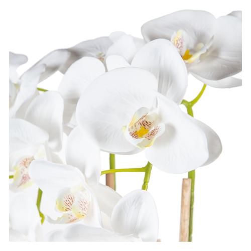  SAKSILI BEYAZ ORKİDE 27X70CM