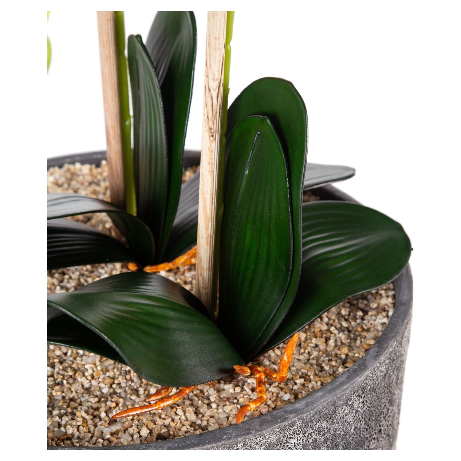 SAKSILI BEYAZ ORKİDE 27X70CM