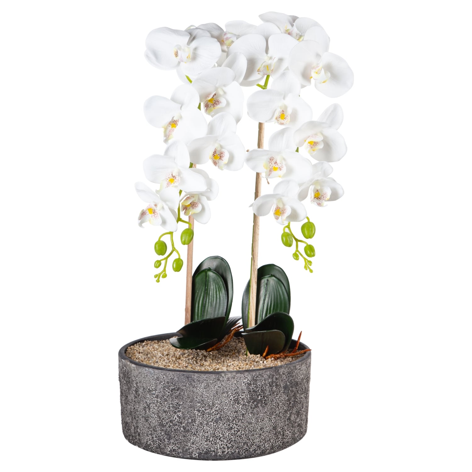 SAKSILI BEYAZ ORKİDE 27X70CM