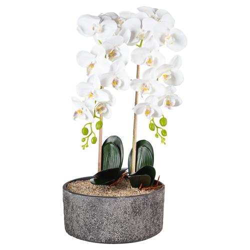  SAKSILI BEYAZ ORKİDE 27X70CM