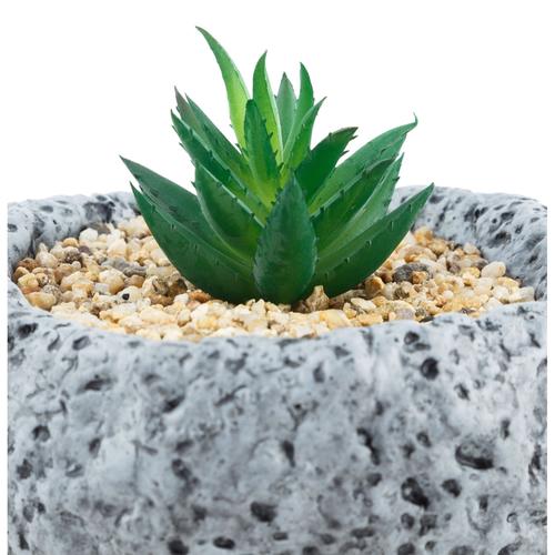  TAŞ SUKULENT GRİ 12X12CM