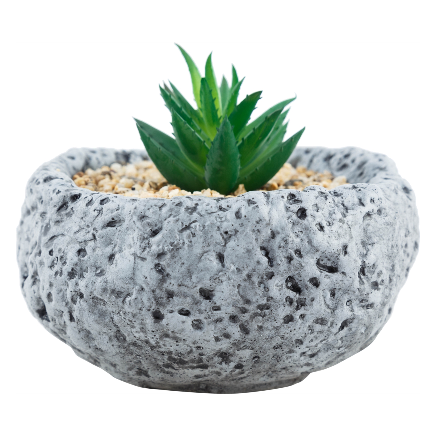 TAŞ SUKULENT GRİ 12X12CM