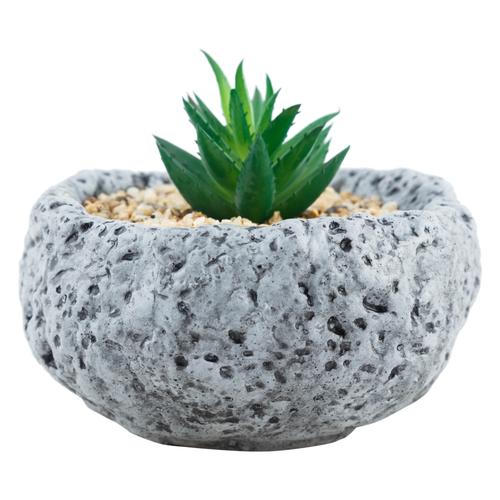  TAŞ SUKULENT GRİ 12X12CM