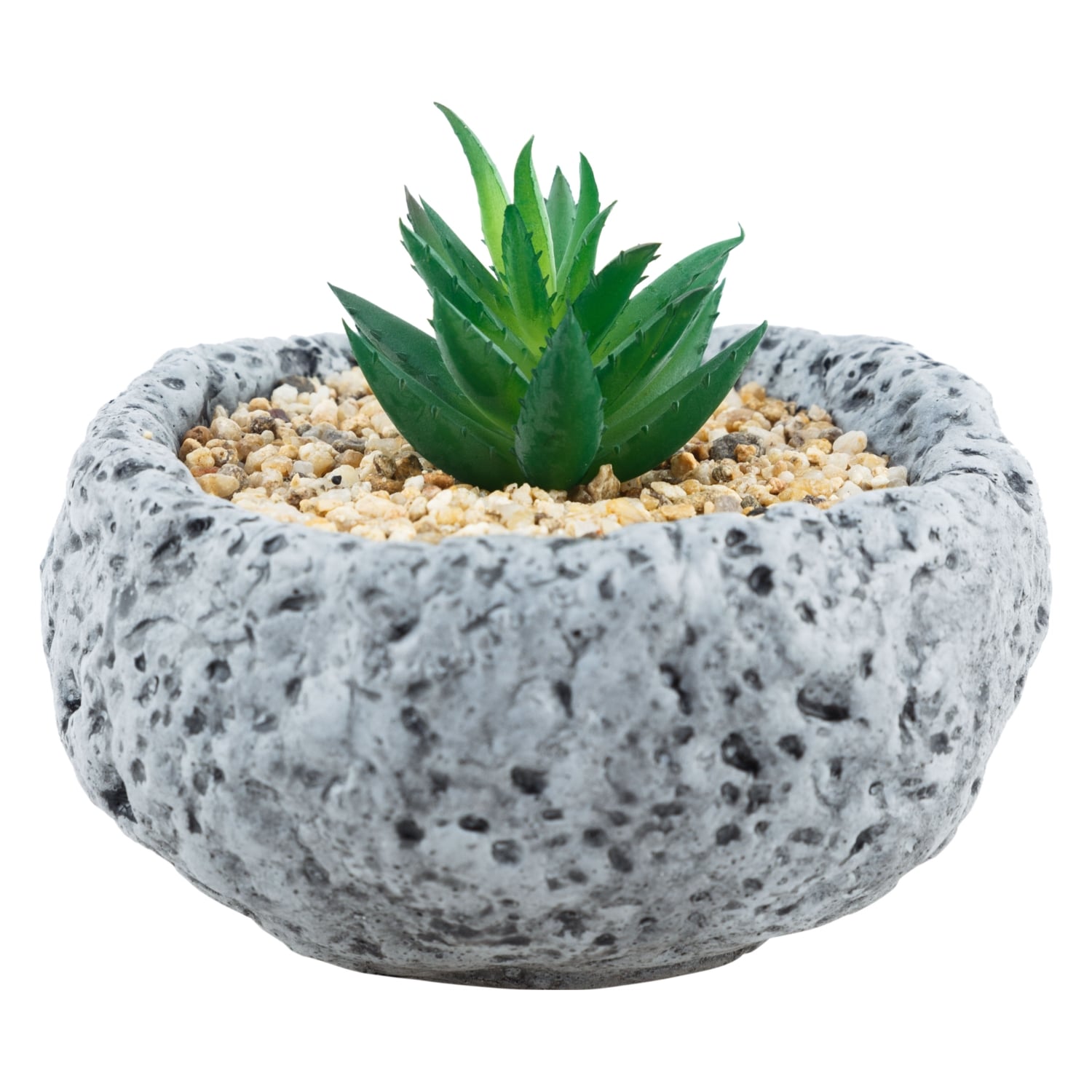 TAŞ SUKULENT GRİ 12X12CM