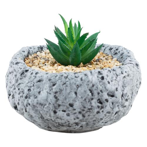  TAŞ SUKULENT GRİ 12X12CM