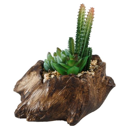  KÜTÜK SUKULENT KOYU KAHVE 16X16CM