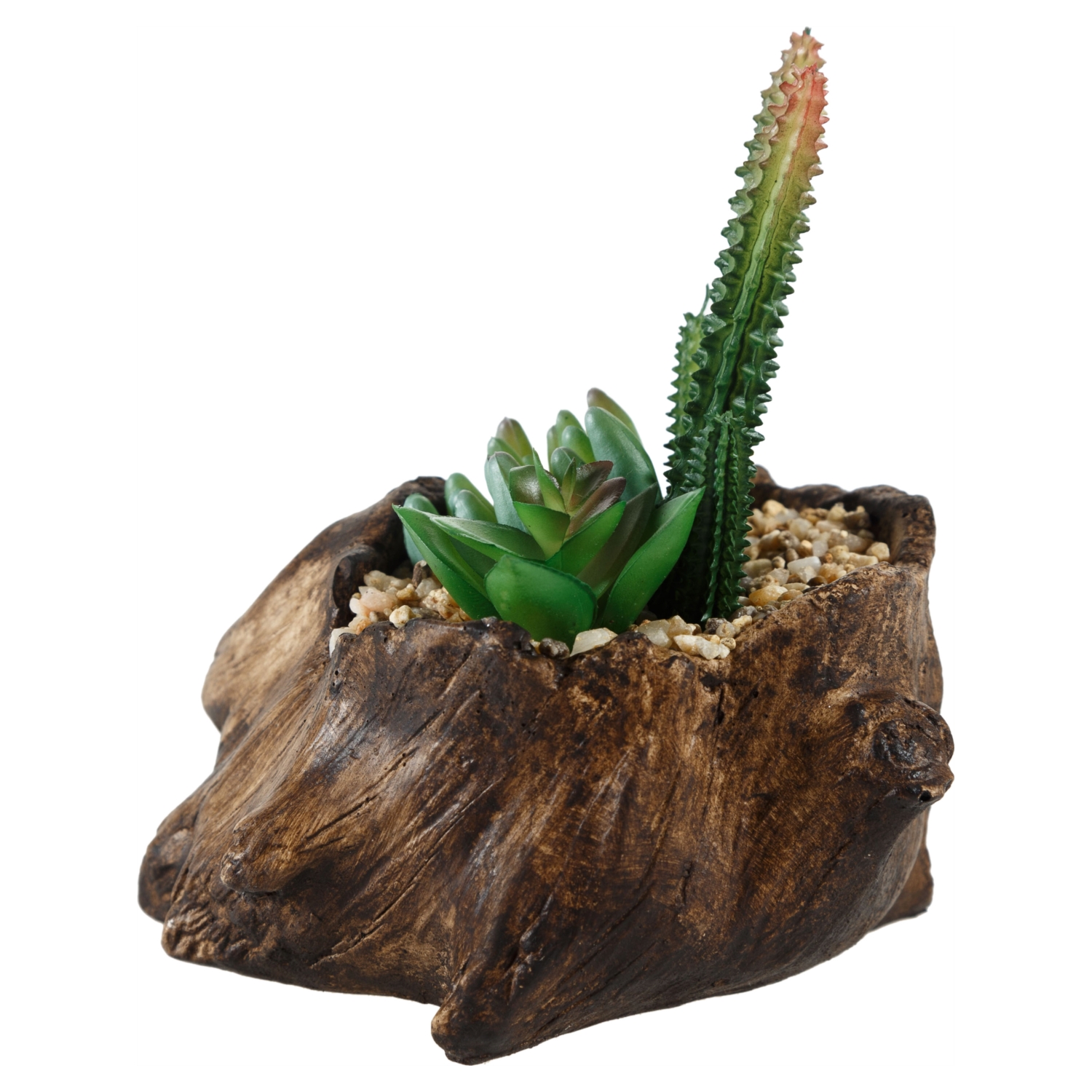 KÜTÜK SUKULENT KOYU KAHVE 16X16CM