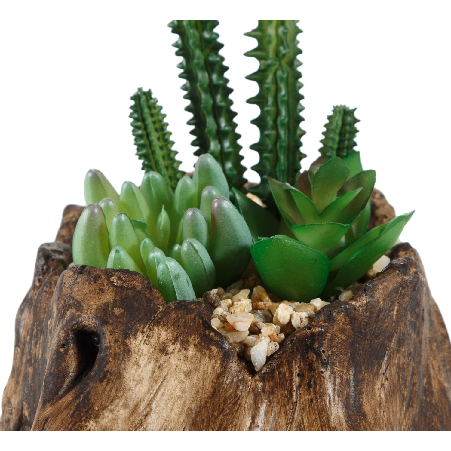 KÜTÜK SUKULENT KOYU KAHVE 16X16CM