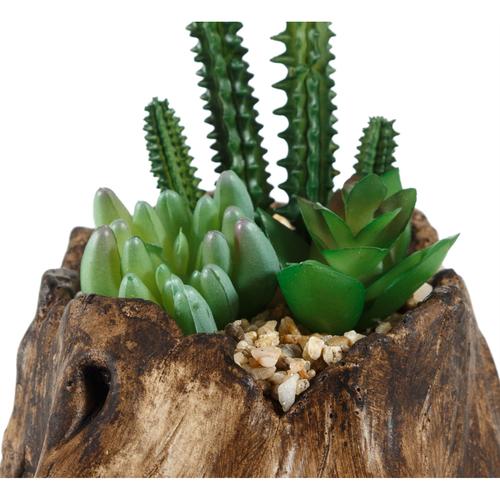  KÜTÜK SUKULENT KOYU KAHVE 16X16CM