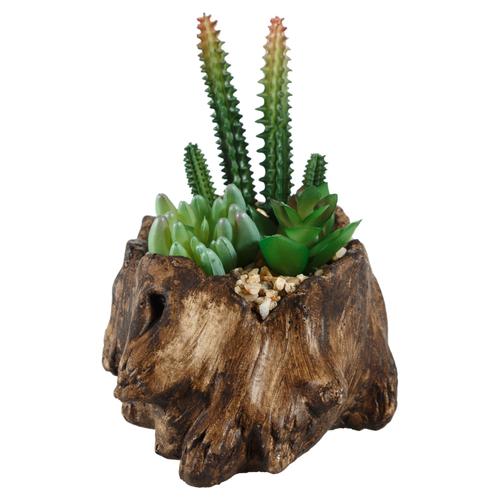  KÜTÜK SUKULENT KOYU KAHVE 16X16CM