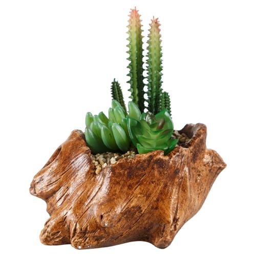 KÜTÜK SUKULENT AÇIK KAHVE 16X16CM