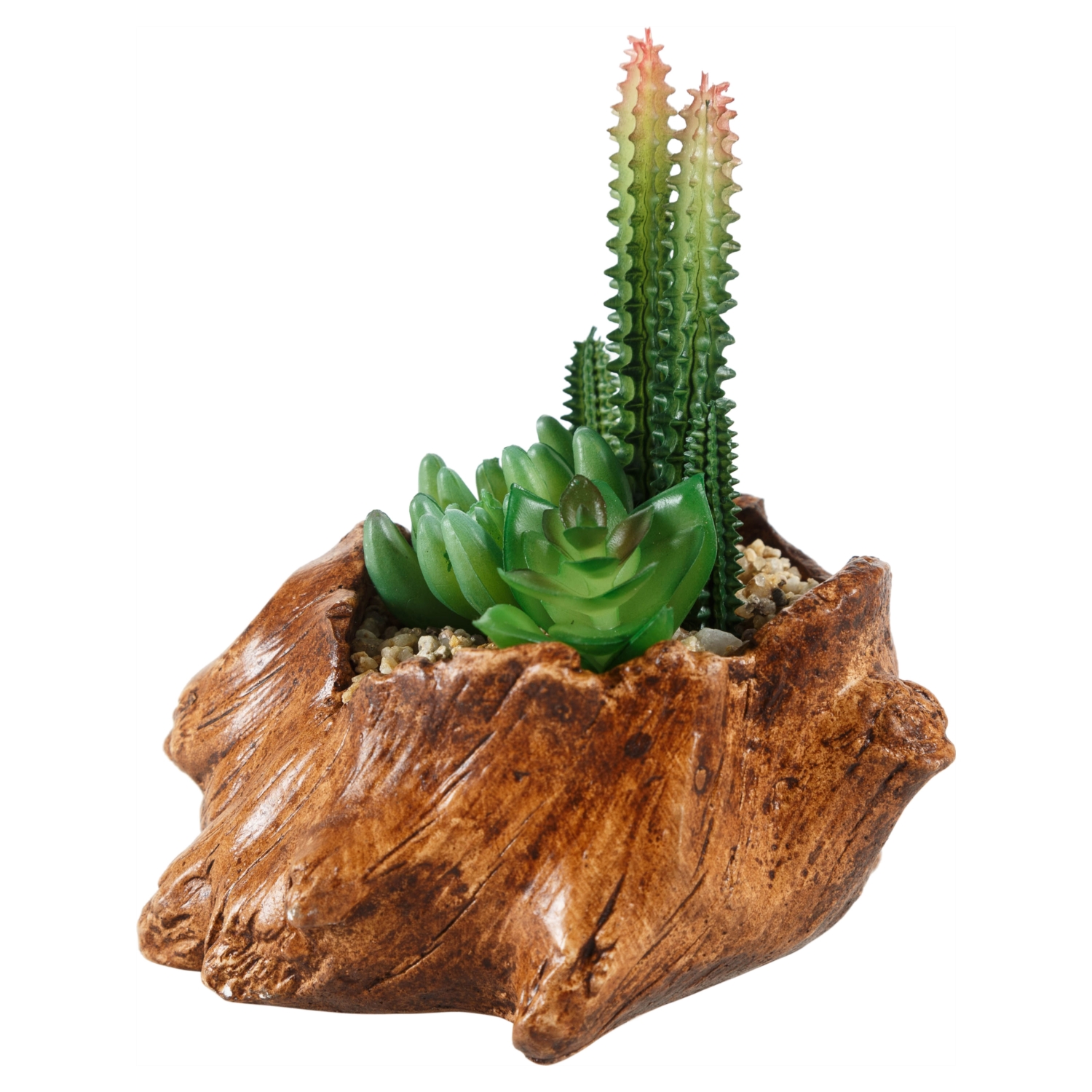 KÜTÜK SUKULENT AÇIK KAHVE 16X16CM
