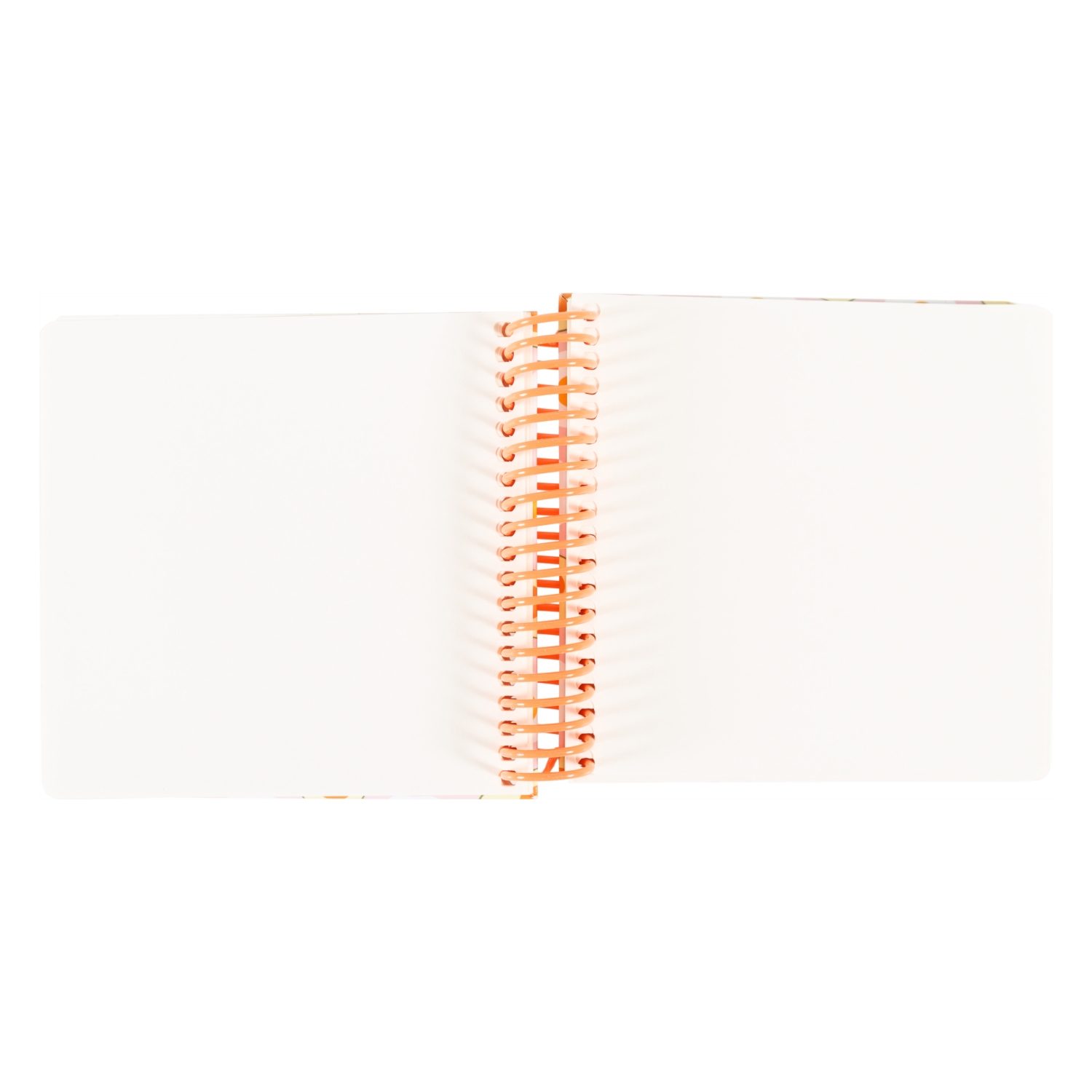 EGG TELLİ DEFTER