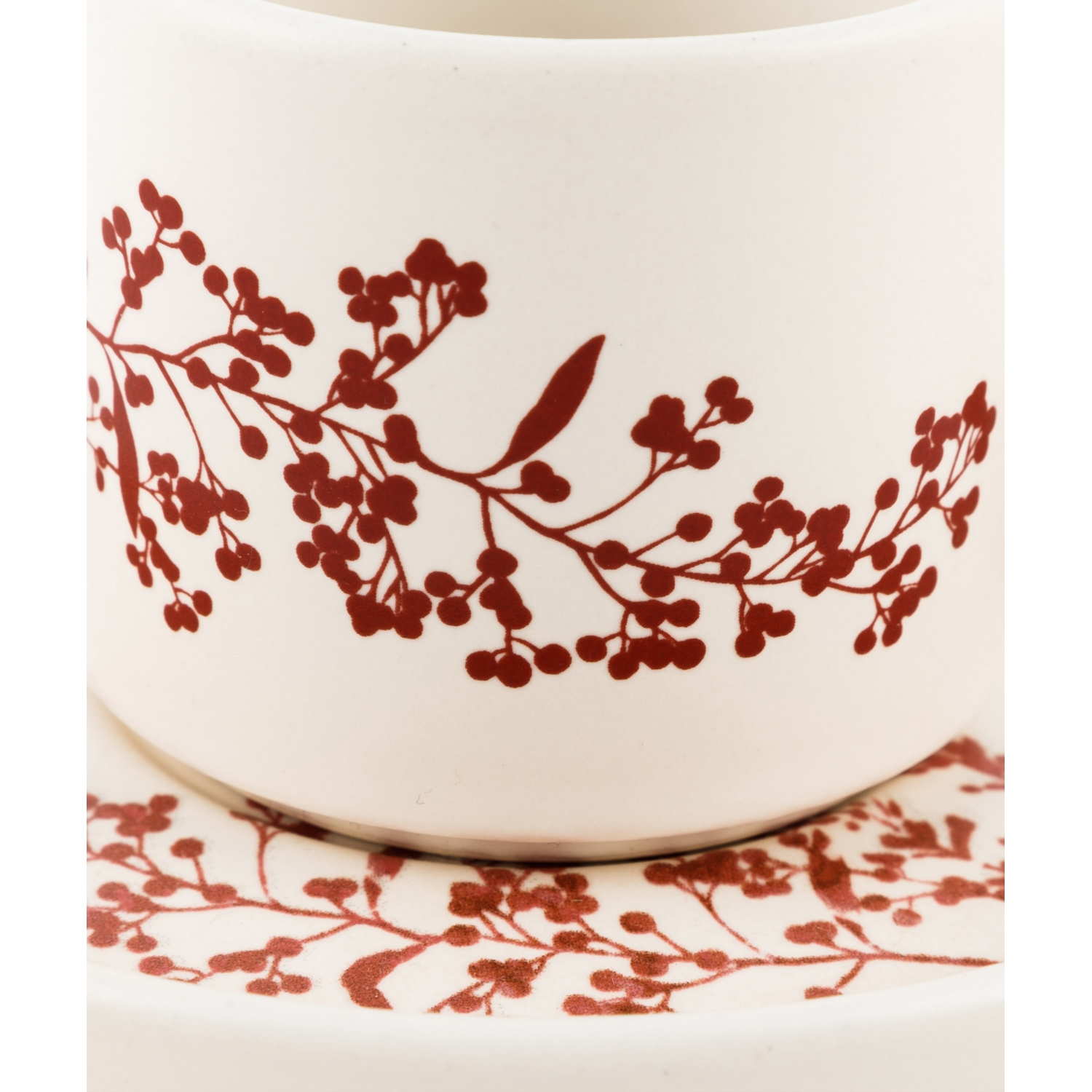 BELIZE FLOWERS ÇAY FINCANI 185 ML