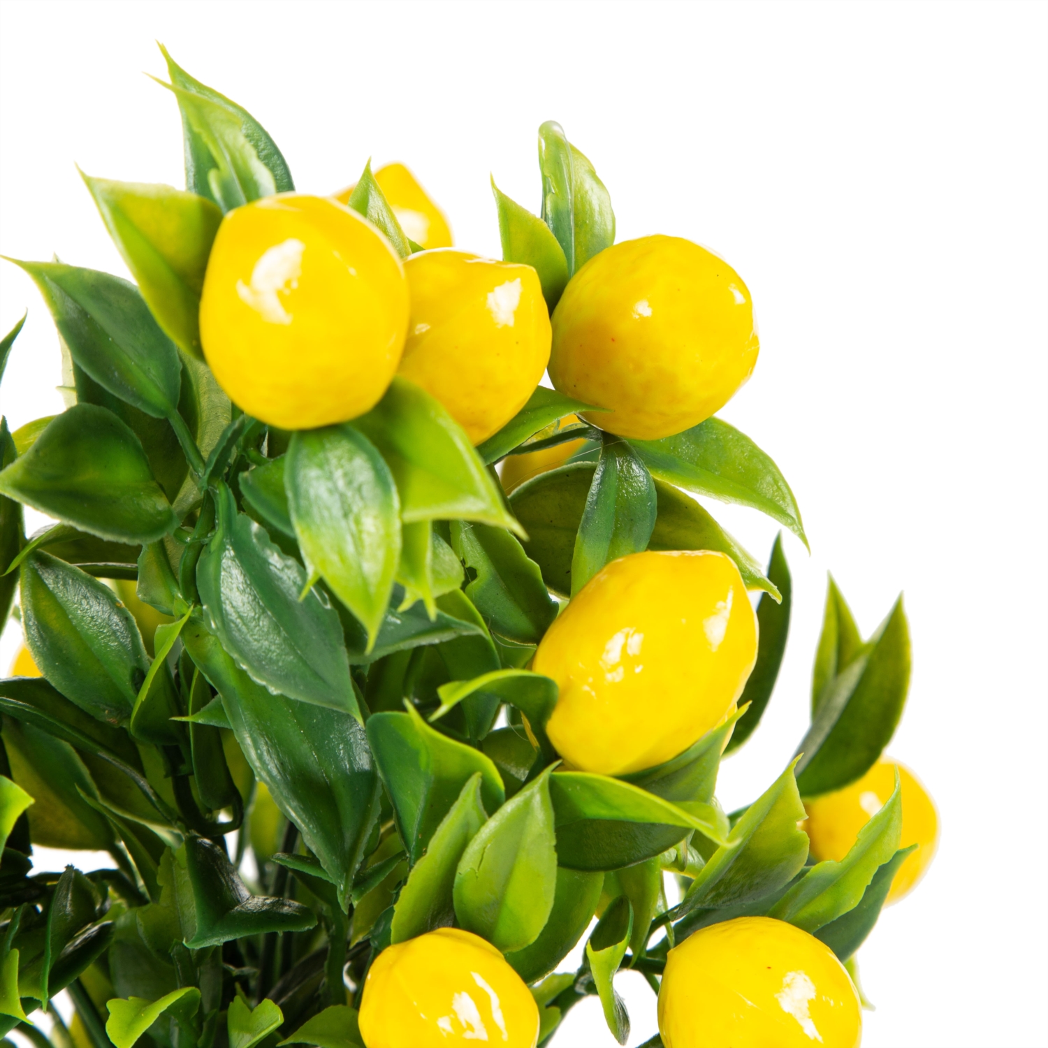 SAKSILI LİMON AĞACI 30CM