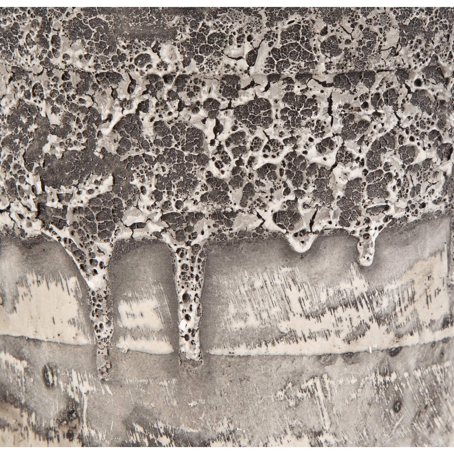 SAKSILI LİMON AĞACI 30CM