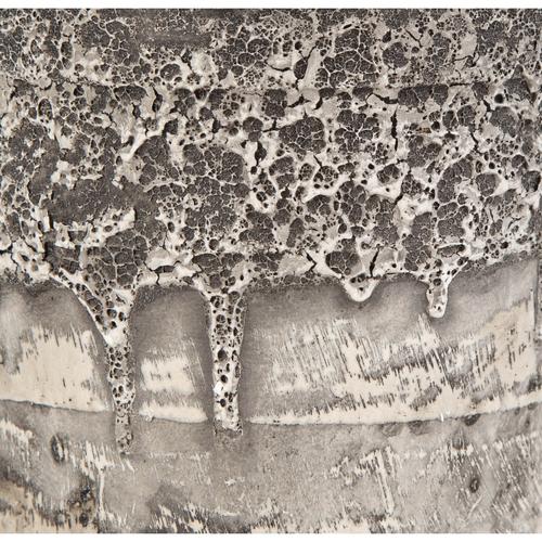  SAKSILI LİMON AĞACI 30CM