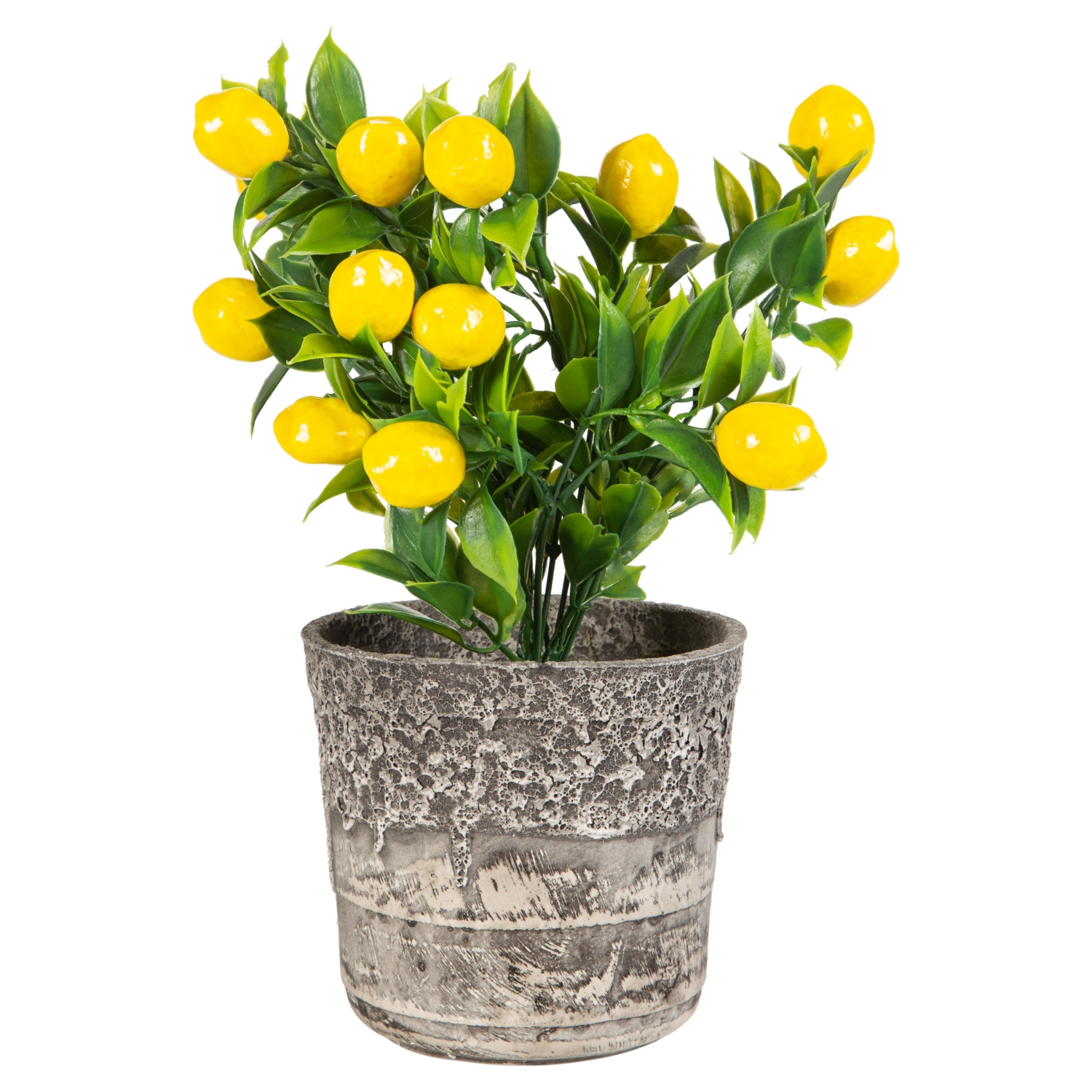 SAKSILI LİMON AĞACI 30CM