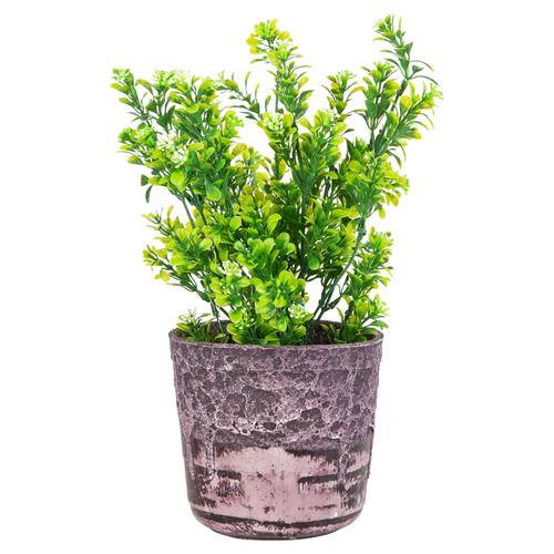  SAKSILI YEŞİL ŞİMŞİR AĞACI 30CM