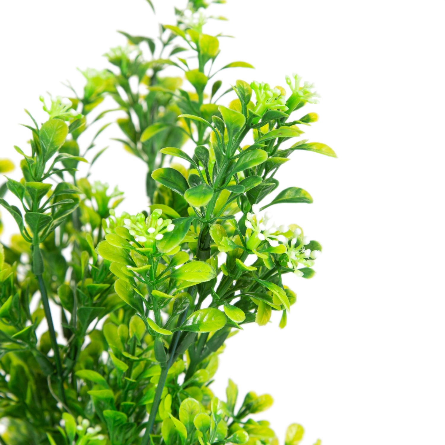 SAKSILI YEŞİL ŞİMŞİR AĞACI 30CM