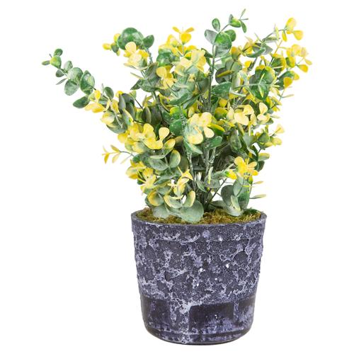  SAKSILI SARI ŞİMŞİR AĞACI 30CM