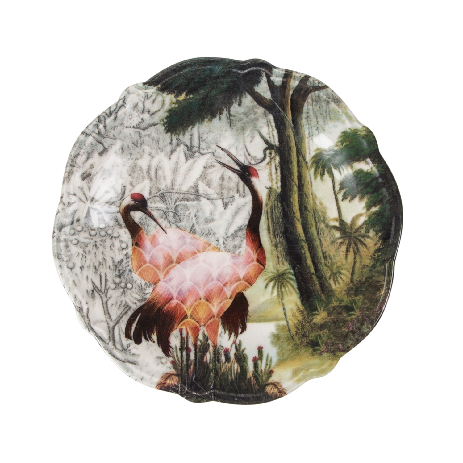 EXOTIC  PASTA TABAĞI SETİ 6 LI