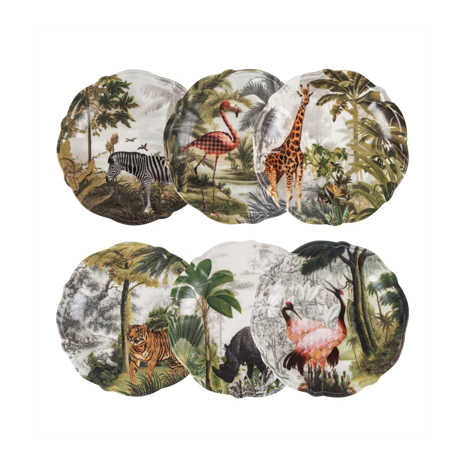 EXOTIC  PASTA TABAĞI SETİ 6 LI