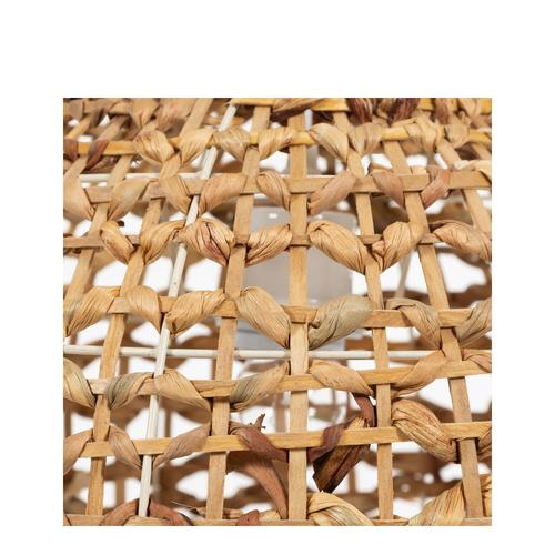  SOLOMON NATURAL HASIR SARKIT LAMBA