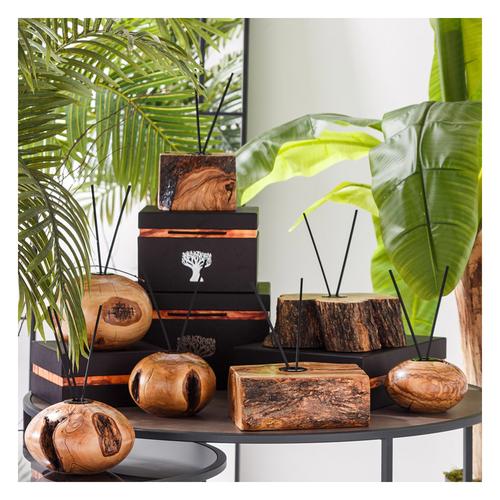  AĞAÇTAN ODA KOKUSU STANDI AĞAÇ GÖVDE EBAT 2