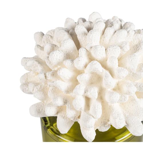  TAŞ MERCAN AMBER ODA KOKUSU 500 CC