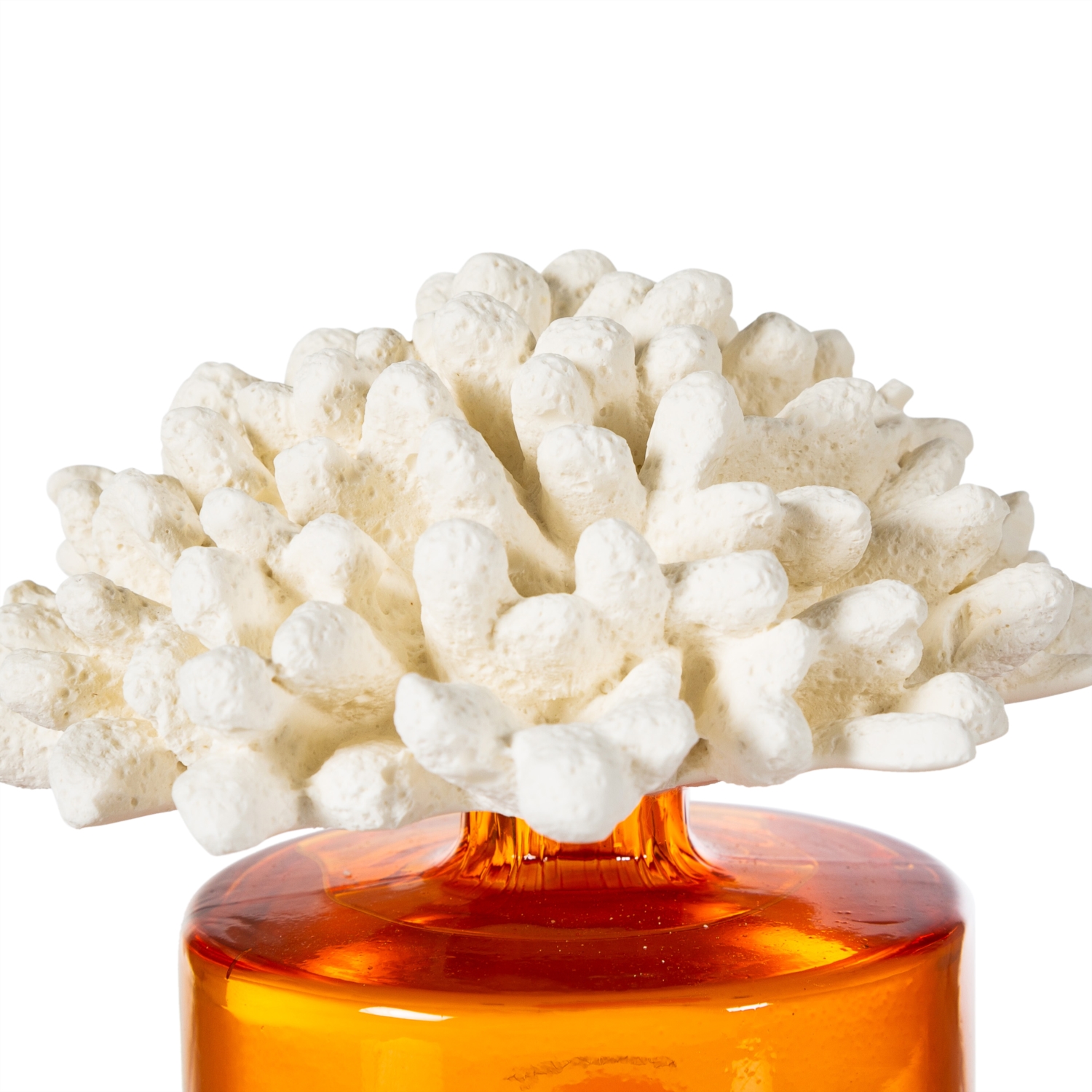 MUDO CONCEPT ODA KOKUSU KUMQUAT MERCAN 500 ML