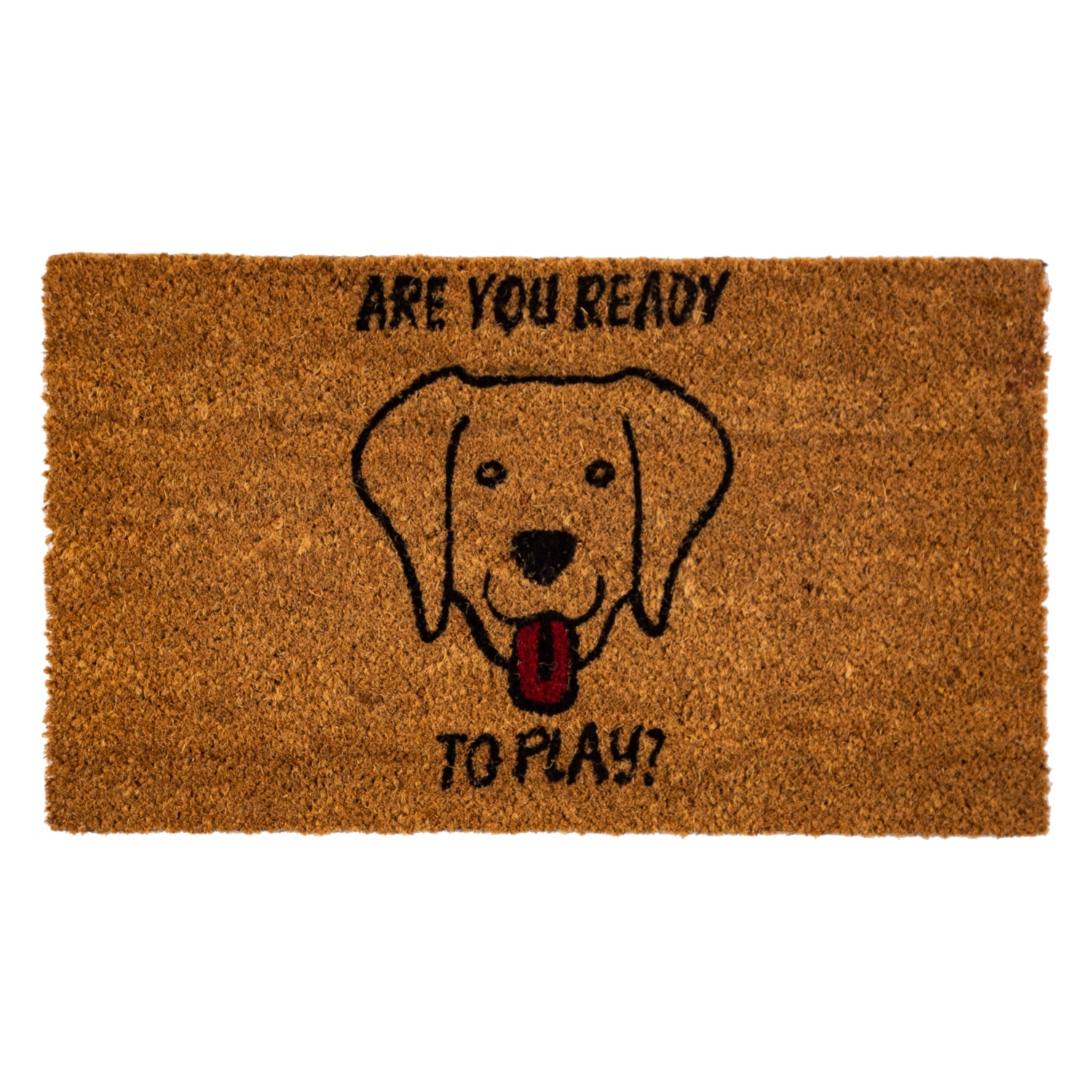 FESTAL DOG KAPI ÖNÜ PASPASI 35X60CM