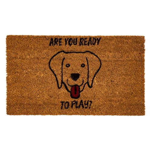  FESTAL DOG KAPI ÖNÜ PASPASI 35X60CM