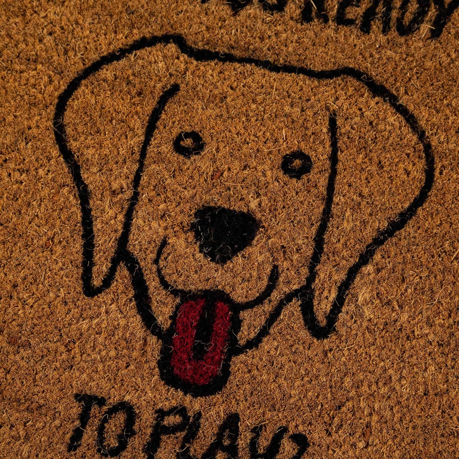 FESTAL DOG KAPI ÖNÜ PASPASI 35X60CM