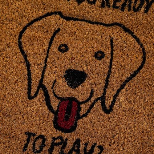  FESTAL DOG KAPI ÖNÜ PASPASI 35X60CM