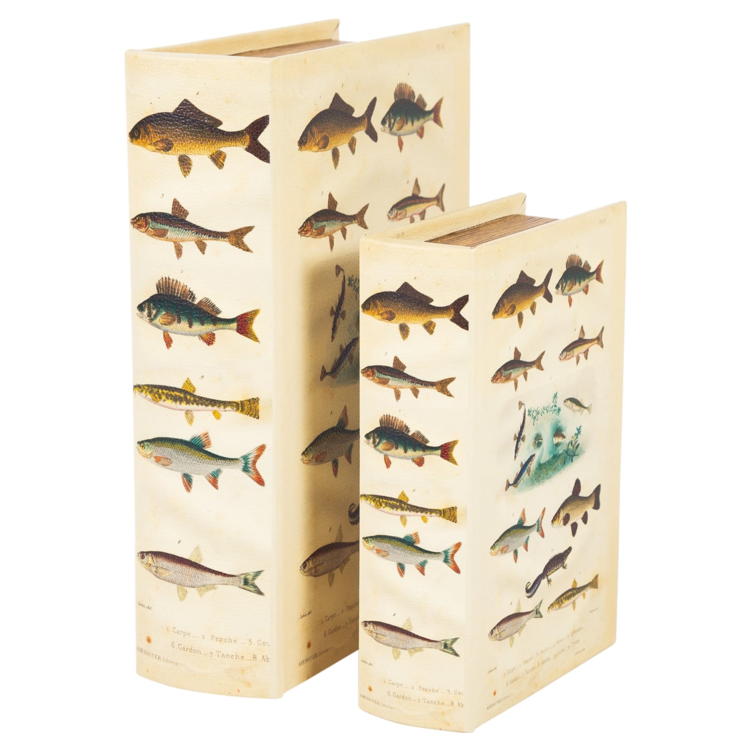 KİTAP KUTU 14X5X21CM