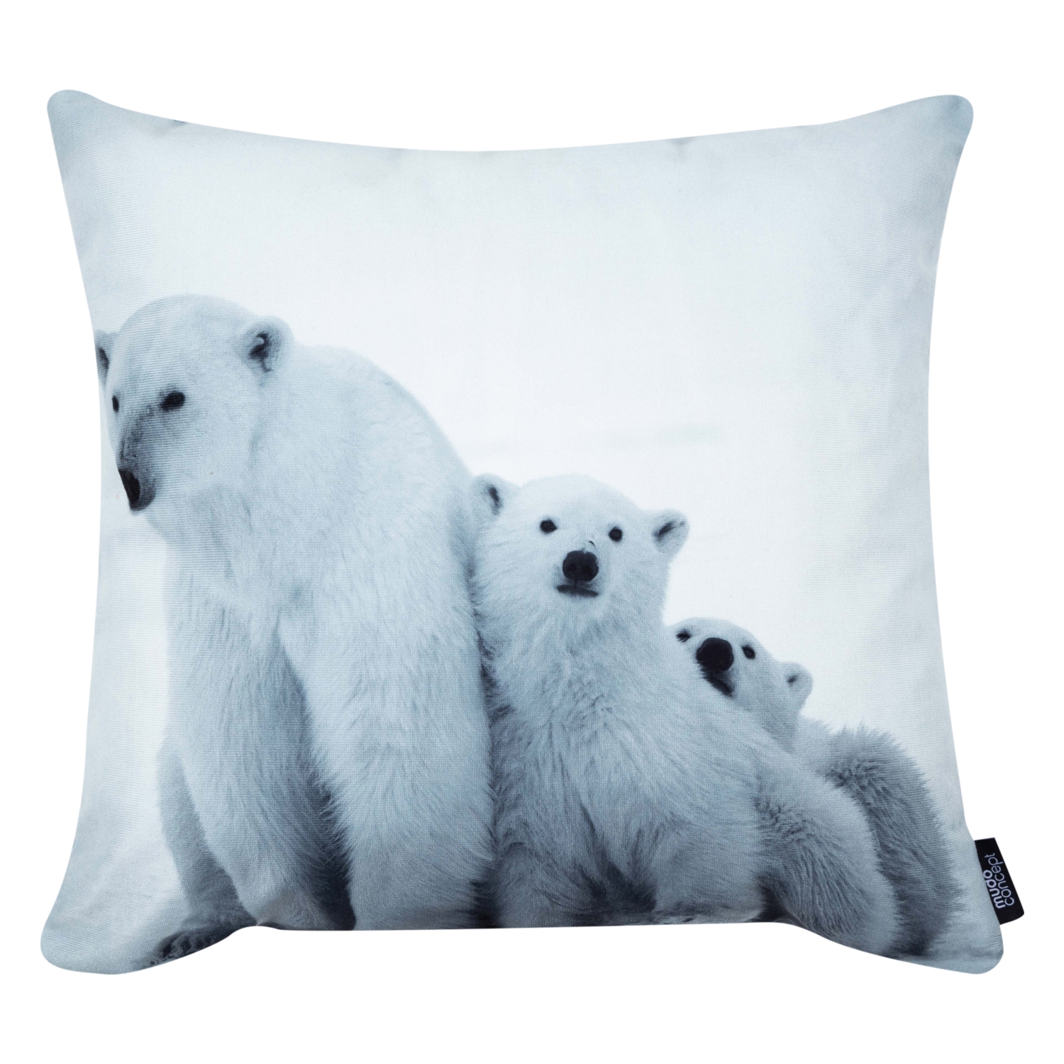 KUTUP AYISI KIRLENT 45X45