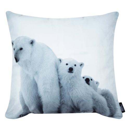  KUTUP AYISI KIRLENT 45X45