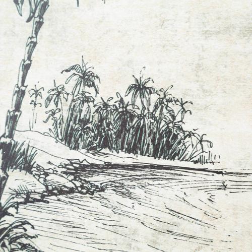  PALM ISLAND ÇERÇEVELİ PANO 42.5 CM