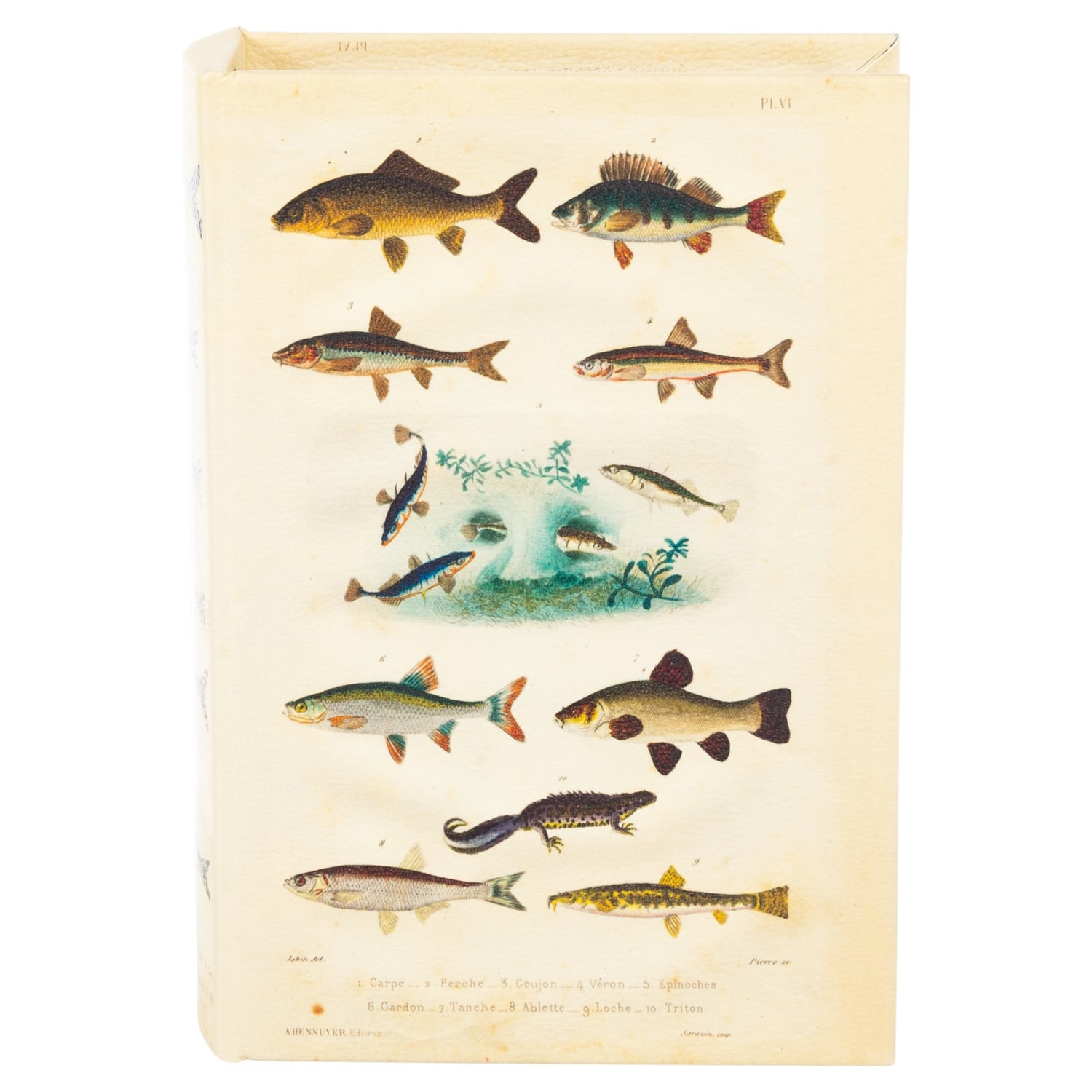 KİTAP KUTU 14X5X21CM