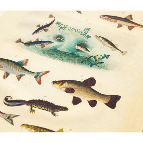  KİTAP KUTU 14X5X21CM