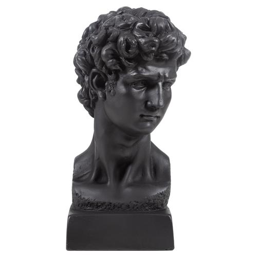 DAVİD SİYAH BÜST BİBLO