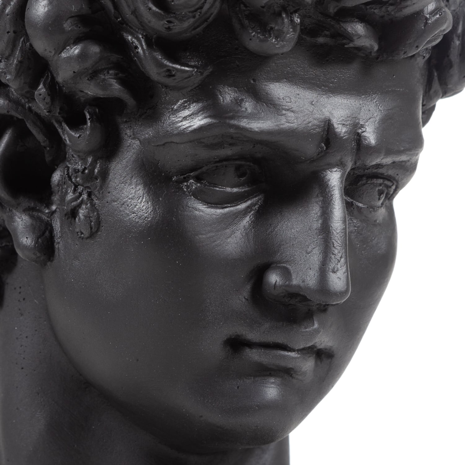 DAVİD SİYAH BÜST BİBLO